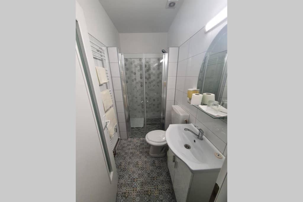 Casa Frizerului - Pets Allowed For Free & Moto Friendly Appartement Sebeş Buitenkant foto