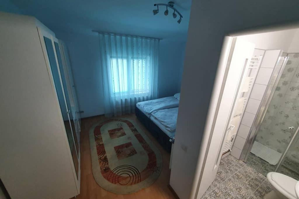 Casa Frizerului - Pets Allowed For Free & Moto Friendly Appartement Sebeş Buitenkant foto